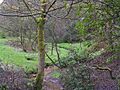 Boggart Hole Clough Brook - geograph.org.uk - 4333