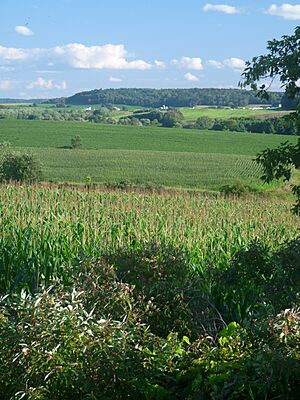 Bridge Creek Eau Claire County Wisconsin