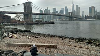 Brooklyn Bridge and Lower Manhattan skyline 142956793