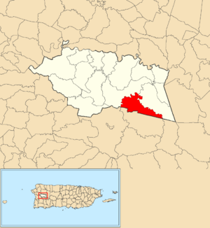 Location of Bucarabones within the municipality of Las Marías shown in red