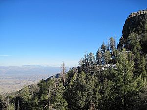 Catalina Mountains elev7000