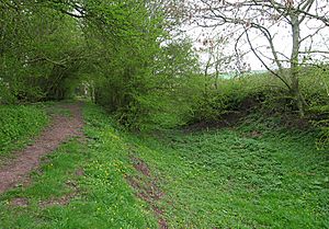 CharnwoodForestCanal 02