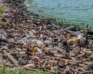 Contaminacion del Lago de Maracaibo