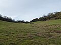Coombe Hill Hollow 3