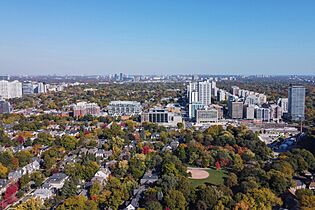 Davisville Village 2024