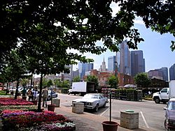 The downtown skyline from the market