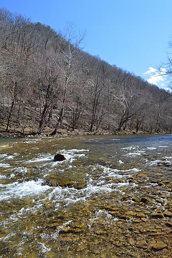 Dry Fork stream in McDowell County, West Virginia.jpg