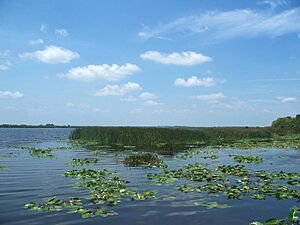 Emeralda Marsh-Island looking west01