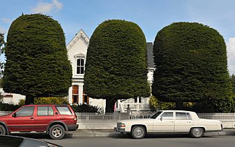 Ferndale CA Berding House Gum Drop Trees.jpg