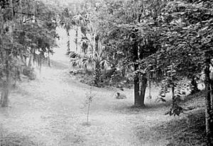 Fort Ward Florida