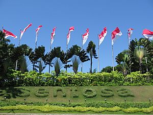 Sentosa, one of the eight major and the largest of the Southern Islands, has been developed into a major tourist attraction in Singapore.