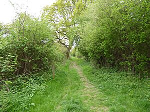Glapthorn Cow Pasture 4