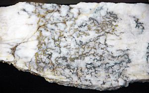 Gold-quartz-sulfide hydrothermal vein (Tertiary; Camp Bird Mine, near Ouray, San Juan Mountains, Colorado, USA) 1 (17127300226)
