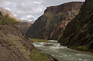 Grand Canyon Crystal Rapid - Flickr - Grand Canyon NPS