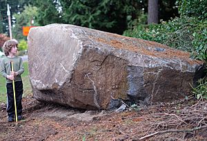 Granite, Edmunds, Washington glacial erratic with yardstick.JPG