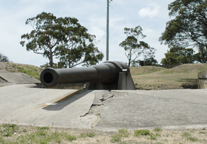 Gun at Kangaroo Bluff Battery
