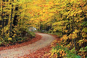Hapgood Pond - Flickr - USDAgov