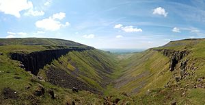 High Cup Gill