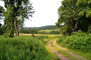 Hiking trail through Hill & Dale Preserve