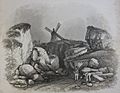 Historical and Topographical Description of the Channel Islands 1840 Robert Mudie 14