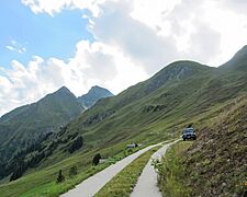 Innerbärg road in Tenna