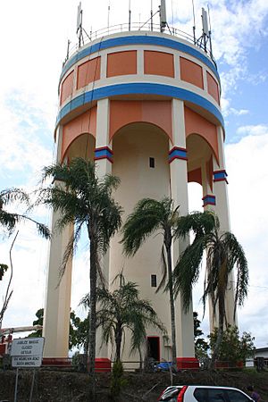 Innisfail Water Tower, 2010
