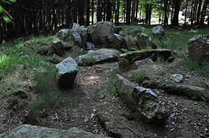 Kilmashogue Megalithic Site 2