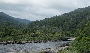 Kohaihai River at the end of Heaphy Track in Kahurangi National Park.jpg