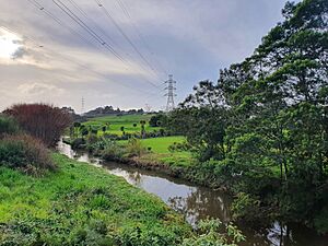 Kumeū River 20220710 154753