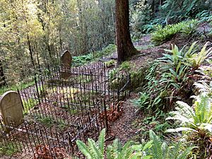 Lyell Cemetery, New Zealand