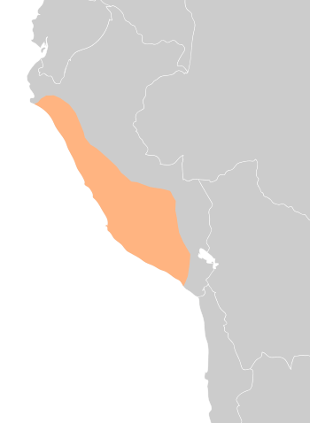 Expansion and area of influence of the Wari Empire around 800 AD