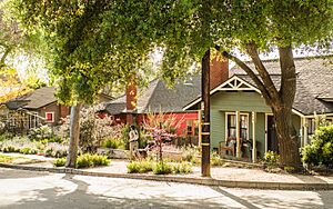 Mark Skovorodko Photography - Escondido Historic District Neighborhood Afternoon