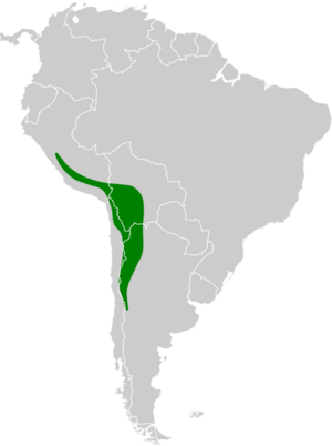 Metriopelia aymara map.svg