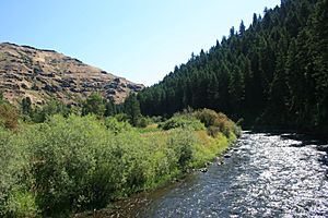Minam River near confluence with Wallowa River IMG 4501.jpg