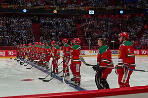 Mora IK vs Leksand in Stockholm 2013-01-05 15
