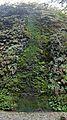 Moss cascade at Fern Canyon