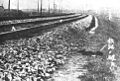 Mukden 1931 spoorweg