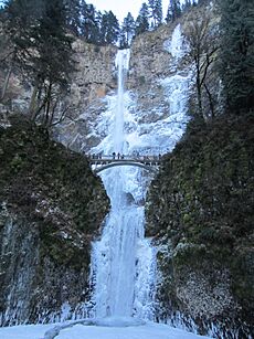 Multnomah Falls (December 2013) - 09