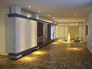 Museo de Arte Contemporaneo - panoramio