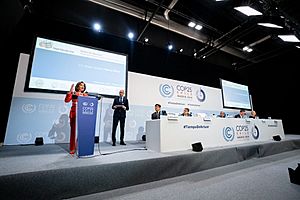 Nancy Pelosi speaks at COP25