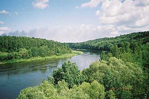 Neman river