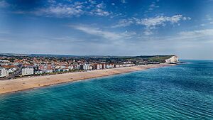 Newhaven Beach from the air.jpg