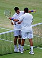 Novak Djokovic and Jo-Wilfried Tsonga 2