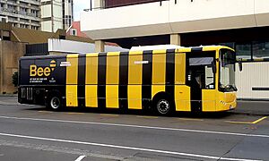 PB Bee Card Bus