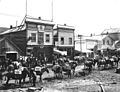 Packtrain carrying freight outside of the Bartlett Bros offices, Dawson, Yukon territory, 1899 (HEGG 624)