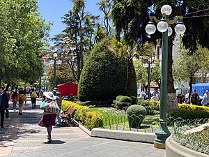 Peatones en el Paseo del Prado