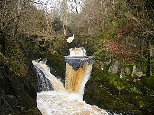 Pecca Falls, River Twiss, near Ingleton - geograph.org.uk - 1469343