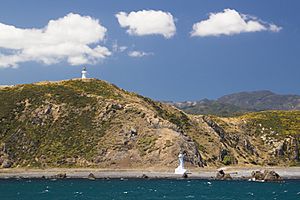Pencarrow Lighthouse Wellington New Zealand-6536