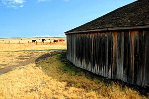 Peter French Round Barn (Harney County, Oregon scenic images) (harDA0025)