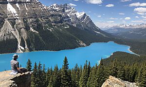 Peyto Lake June 2018